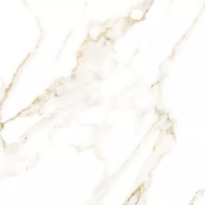 Gạch Apodio 61181058