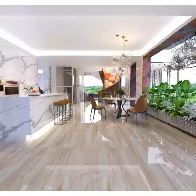 Gạch Apodio 61182022