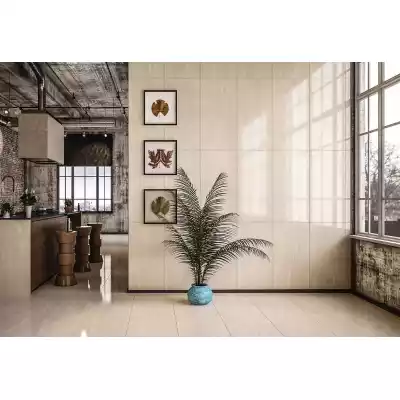 Gạch Apodio 61222014