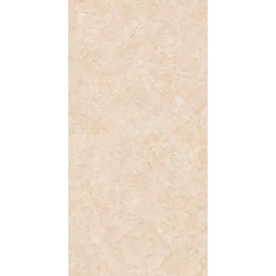 Gạch Apodio 61282042