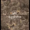 Gạch Apodio 61286013