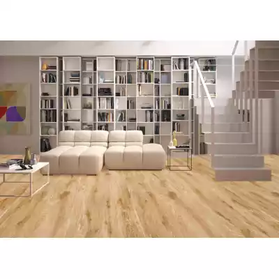 Gạch Apodio 61312204