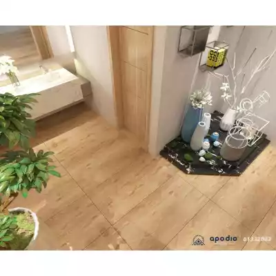 Gạch Apodio 61332003