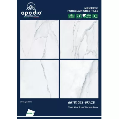 Gạch Apodio 66181023