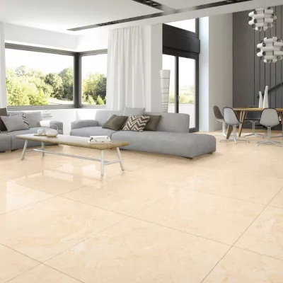 Gạch Apodio 66222013