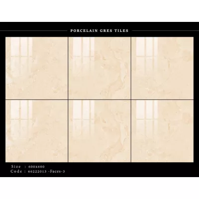 Gạch Apodio 66222013