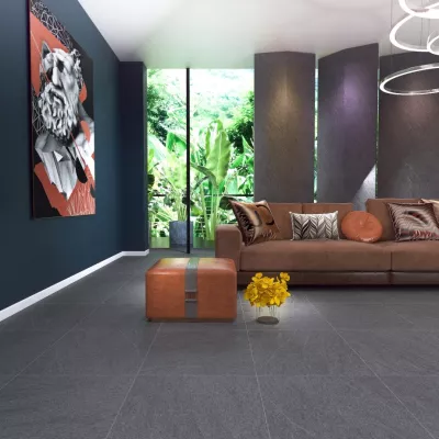 Gạch Apodio 66264001