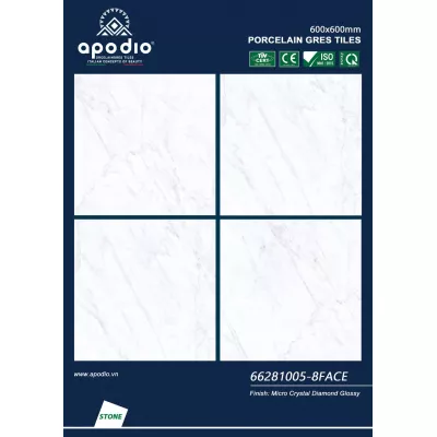 Gạch Apodio 66281005