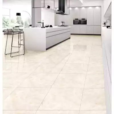 Gạch Apodio 66282018