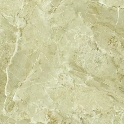 Gạch Apodio 66282025