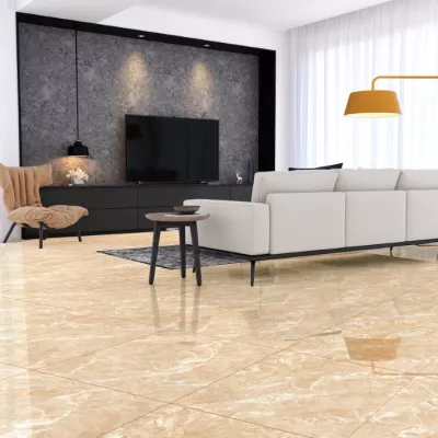 Gạch Apodio 66283003