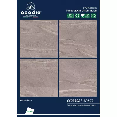 Gạch Apodio 66283021