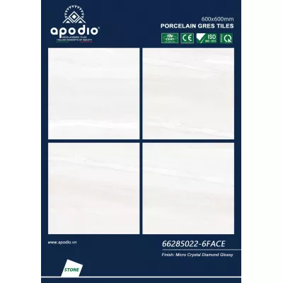 Gạch Apodio 66285022