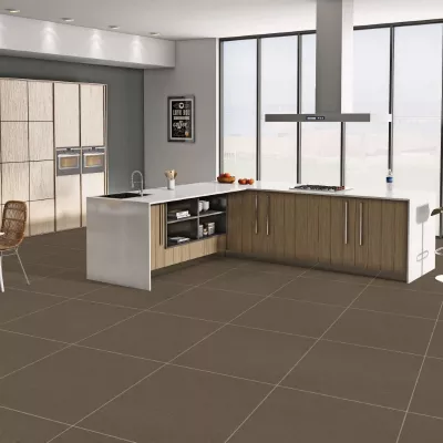 Gạch Apodio 66434009