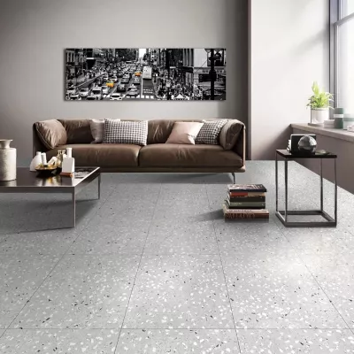 Gạch Apodio 66TZ7502