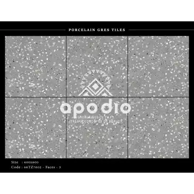 Gạch Apodio 66TZ7602