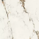 Gạch Apodio 81185064