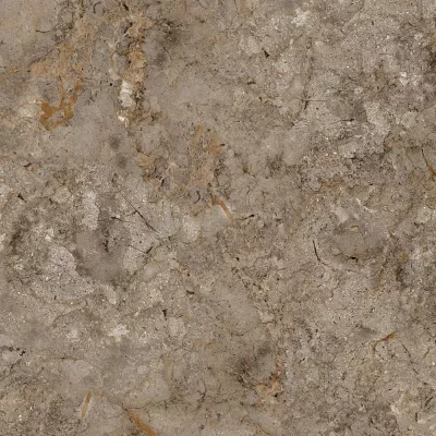 Gạch Apodio 88284049