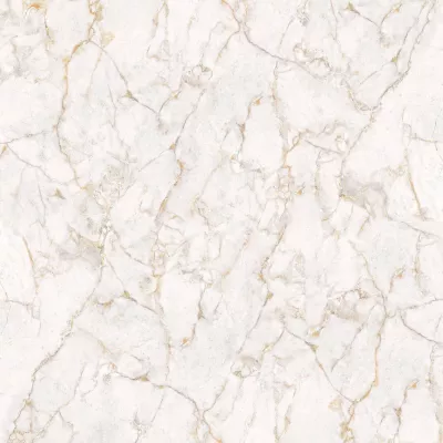 Gạch Apodio 88285048