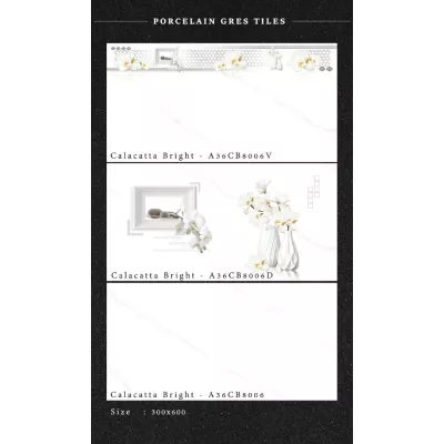 Gạch Apodio A36CB8006