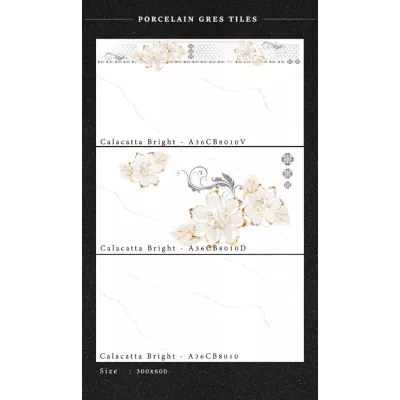 Gạch Apodio A36CB8010