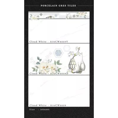 Gạch Apodio A36CW8009