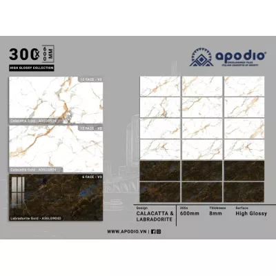 Gạch Apodio A36LG904-A36LG904D-A36CG804