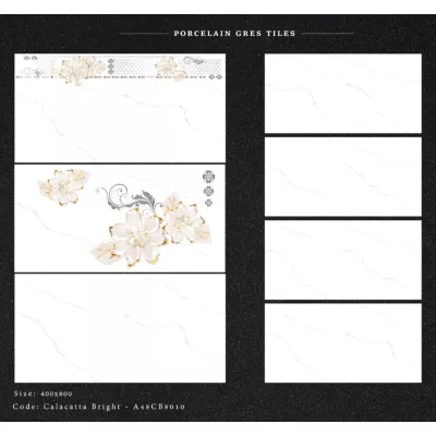 Gạch Apodio A48CB8010