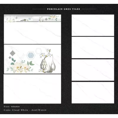 Gạch Apodio A48CW8009