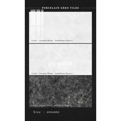 Gạch Apodio A48LW804