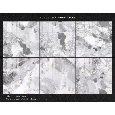 Gạch Apodio A66BG801