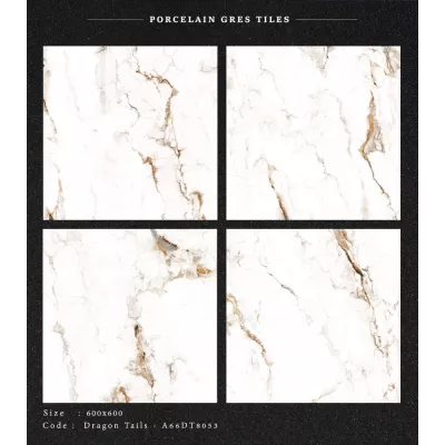 Gạch Apodio A66DT8053