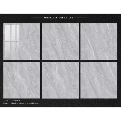 Gạch Apodio A66MG8054