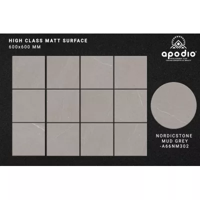 Gạch Apodio A66NM602