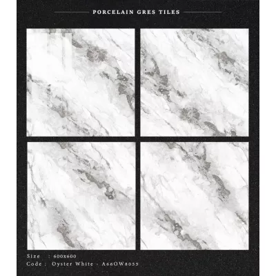 Gạch Apodio A66OW8055