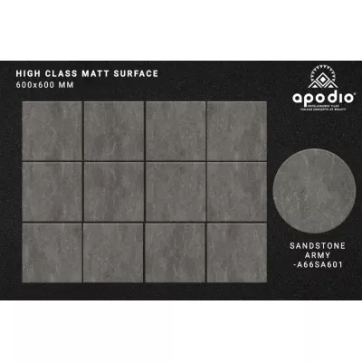 Gạch Apodio A66SA601