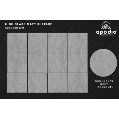 Gạch Apodio A66SG601