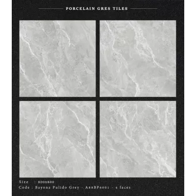 Gạch Apodio A88BP6001