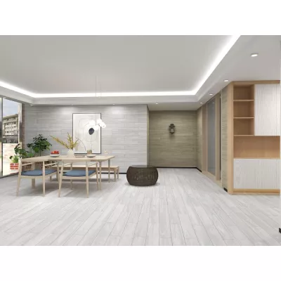 Gạch Apodio AF091973001