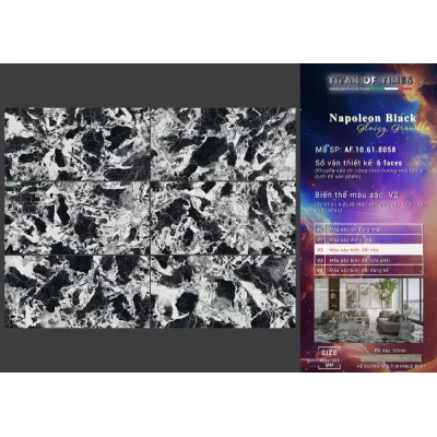 Gạch Apodio AF10618058