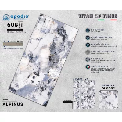 Gạch Apodio AF10618059