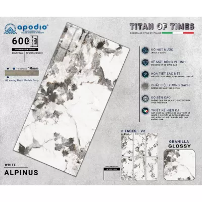 Gạch Apodio AF10618060