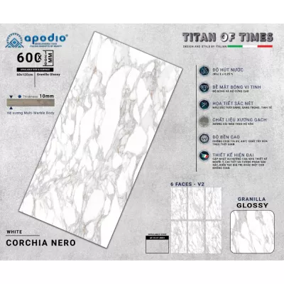 Gạch Apodio AF10618061