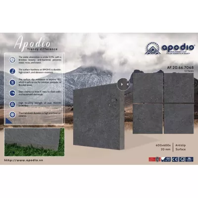 Gạch Apodio AF20667068