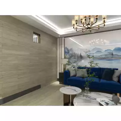 Gạch Apodio AP091973002