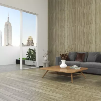 Gạch Apodio AP091973004