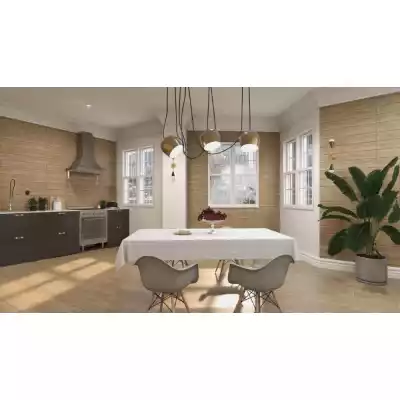 Gạch Apodio AP091973007