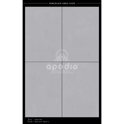 Gạch Apodio BL81601