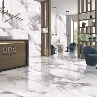 Gạch Apodio BL81801