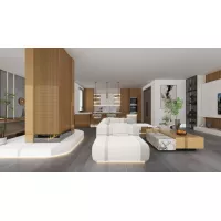 Gạch Apodio C86MD614